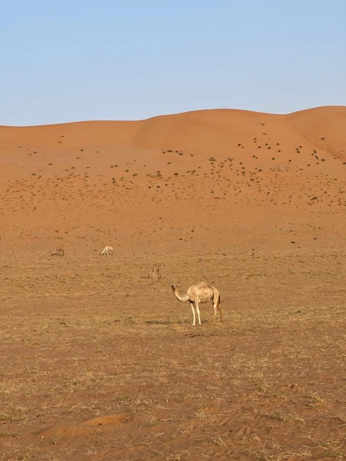 Thousand Stars Desert Camp Bidiya ภายนอก รูปภาพ