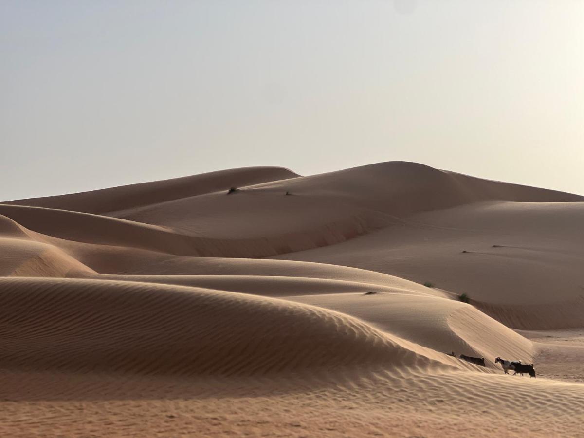 Thousand Stars Desert Camp Bidiya ภายนอก รูปภาพ