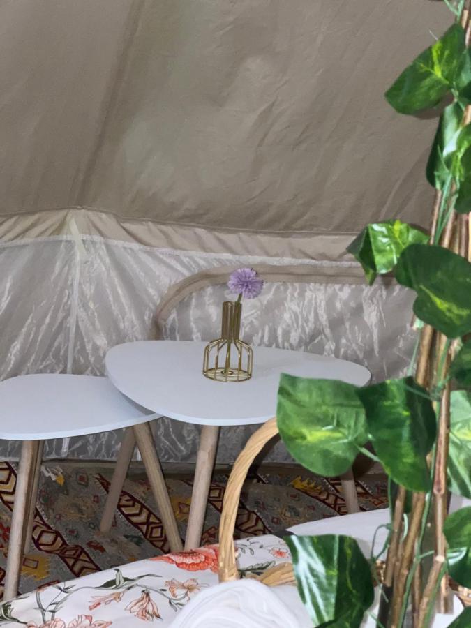 Thousand Stars Desert Camp Bidiya ภายนอก รูปภาพ