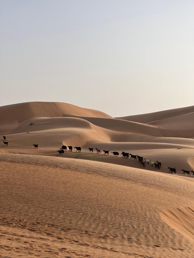 Thousand Stars Desert Camp Bidiya ภายนอก รูปภาพ