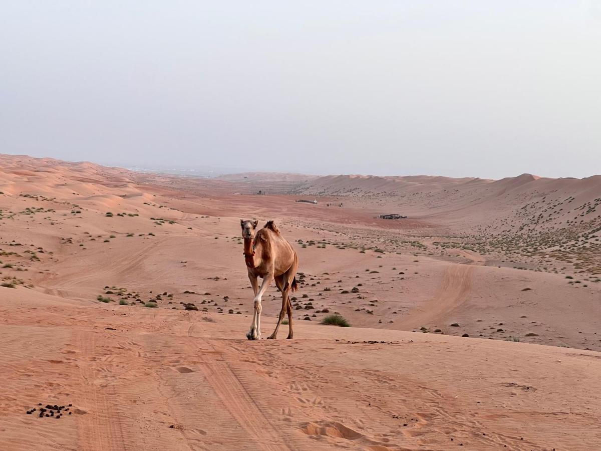 Thousand Stars Desert Camp Bidiya ภายนอก รูปภาพ
