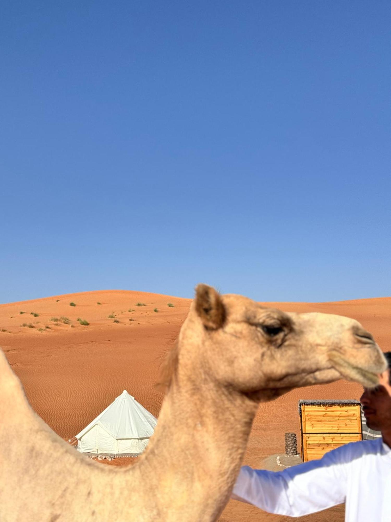 Thousand Stars Desert Camp Bidiya ภายนอก รูปภาพ